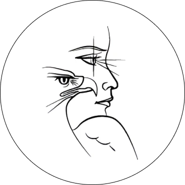 Sarl Bornert Protheses Oculaires Strasbourg Logo 1